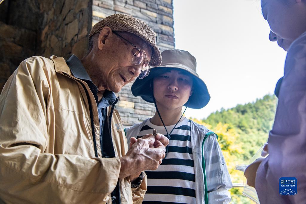 炸三张金花单机版